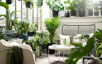 Pourquoi les plantes nous font du bien