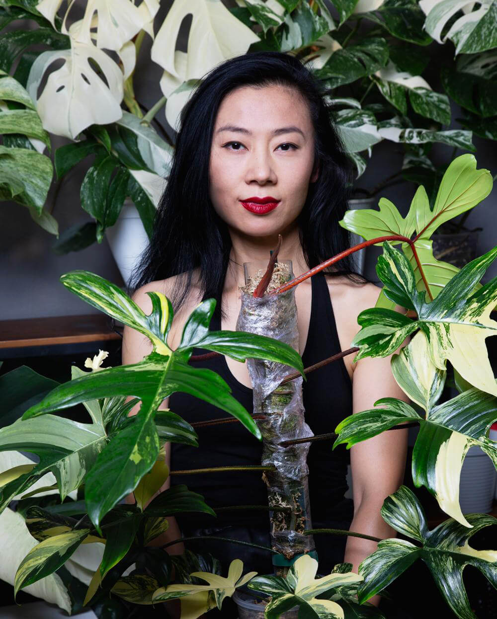 Caroline Shi ontologie relationnelle radicale